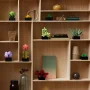 Holzregal mit bunten LEGO-Sukkulenten in schwarzen Töpfen, ergänzt durch Bücher und Dekorationsgegenstände
