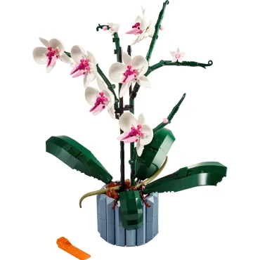 L’orchidée (10311)