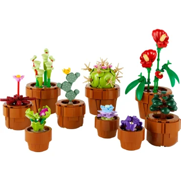 Les plantes miniatures (10329)