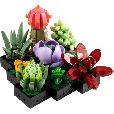 Les succulentes (10309)