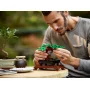 Homme assemblant délicatement le bonsaï LEGO avec feuillage vert, tronc marron sur socle rectangulaire Homme assemblant délicatement le bonsaï LEGO avec feuillage vert, tronc marron sur socle rectangulaire