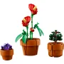 Trois pots en terre cuite LEGO avec violettes violettes, anthurium rouge à fleurs en forme de cœur et petit bonsaï vert