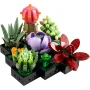 Vue d'ensemble des plantes succulentes LEGO avec cactus rose, fleur violette, plante grasse verte et fleur rouge sur base noire modulaire Vue d'ensemble des plantes succulentes LEGO avec cactus rose, fleur violette, plante grasse verte et fleur rouge sur base noire modulaire