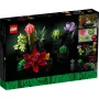 Boîte LEGO Les succulentes 10309 montrant neuf plantes colorées en briques : cactus, fleurs et succulentes dans des pots noirs Boîte LEGO Les succulentes 10309 montrant neuf plantes colorées en briques : cactus, fleurs et succulentes dans des pots noirs