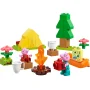 Vista general del set LEGO con tienda amarilla, fogata, árbol verde, dos personajes de Peppa Pig y accesorios de camping