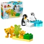 LEGO DUPLO set met zwart-witte pinguïns op blauw platform, oranje leeuwen met groene palm en productdoos 10442 LEGO DUPLO set met zwart-witte pinguïns op blauw platform, oranje leeuwen met groene palm en productdoos 10442